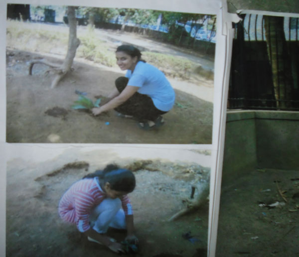 socialserviceactivity 4