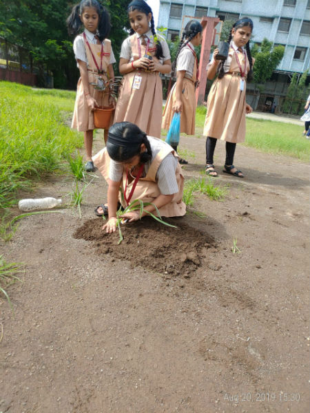 tree plantation 3