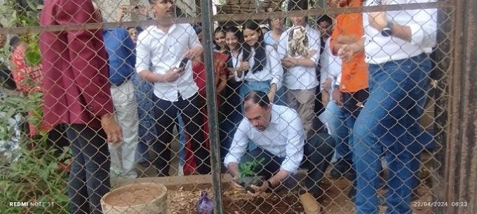 Tree Plantation 2024 1