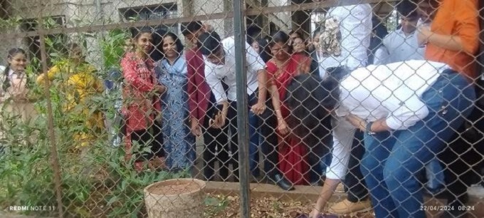 Tree Plantation 2024 2