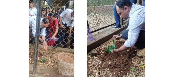 Tree Plantation 2024 4