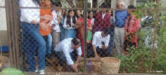 Tree Plantation 2024 5