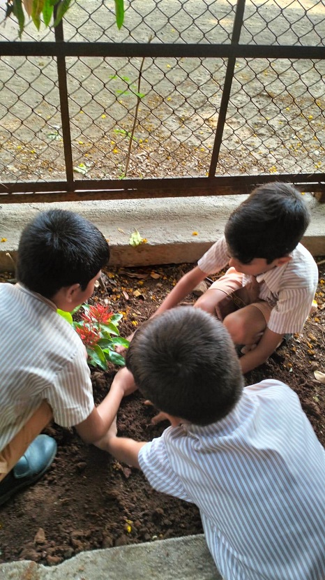 Tree Plantation on World Earth Day 2024 25 2