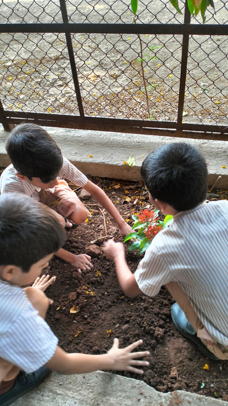 Tree Plantation on World Earth Day 2024 25 4