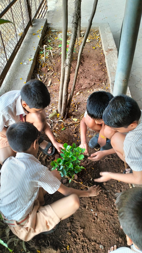 Tree Plantation on World Earth Day 2024 25 6