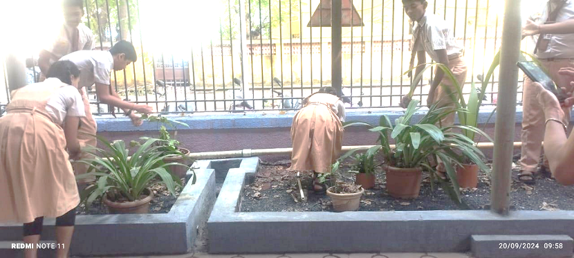 Swachata Bharat Abhiyan 2024 3